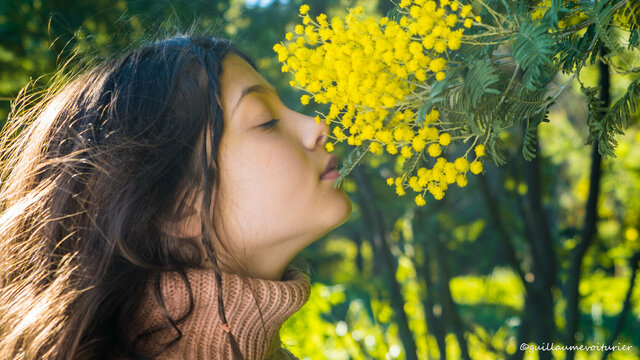 Corso du Mimosa à Cavalaire-sur-Mer