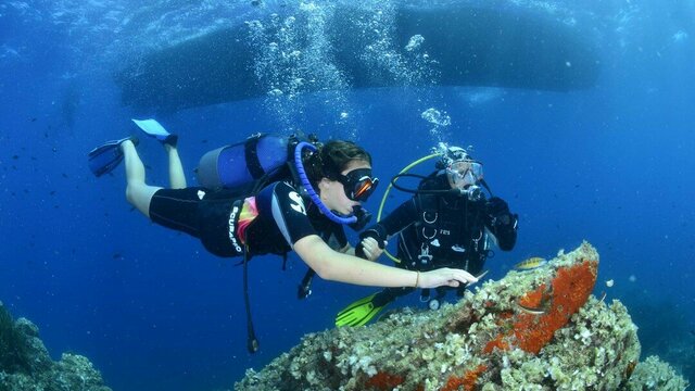 A la découverte des fonds marins