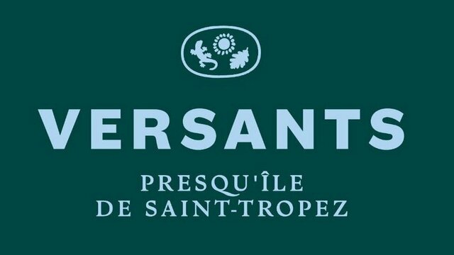 Vacances à la Croix-Valmer en camping 4* Versants